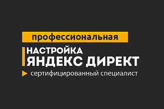 Профессиональная настройка рекламной кампании в Яндекс. Директ