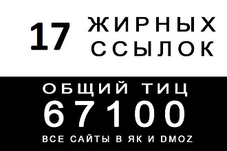 17 жирных вечных ссылок с трастовых сайтов с Высоким ТИЦ