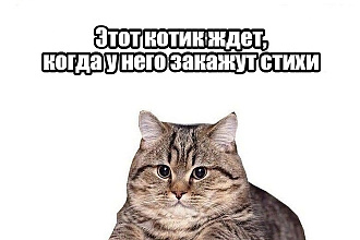 Напишу стихотворения на любую тему, поздравления родным на праздник