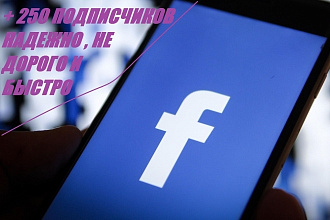 +250 подписчиков НА паблик 'FanPage' В facebook