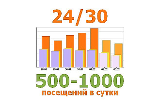 От 500 до 1000 посетителей в сутки на Ваш сайт на 30 дней