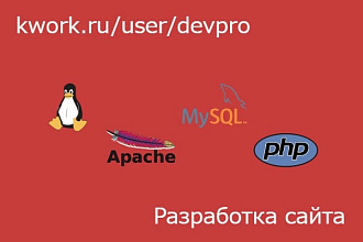 Разработка сайта