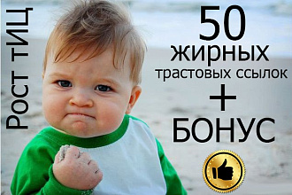 50 жирных вечных ссылок с трастовых сайтов с Высоким ТИЦ + бонус 3