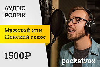 Аудиоролик для радио или торгового центра
