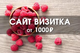 Сайт визитка для Вас или Вашей компании