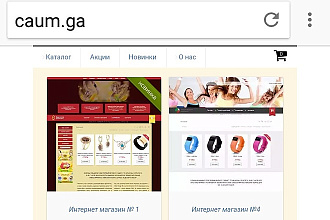 Сделаю интернет-магазин. На вашем хостинге или на бесплатном