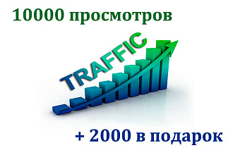 10000 просмотров сайта + 2000 просмотров в подарок