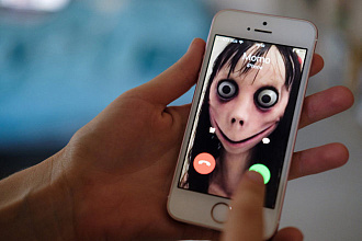 Организация WhatsApp рассылки по вашей базе клиентов