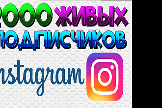 2000 Живых подписчиков на профиль в Instagram