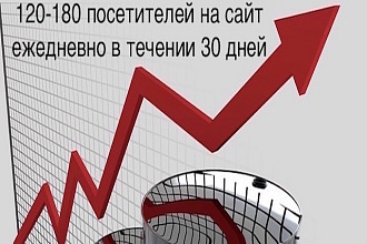 120-180 посетителей на сайт ежедневно в течение 30 дней