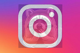 1000 живых подписчиков instagram