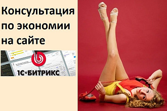 Консультация по экономии на создании сайта на CMS Битрикс