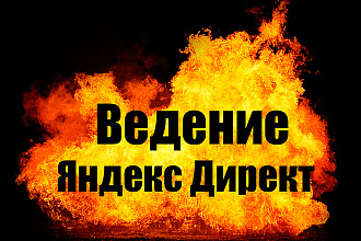 Ведение Яндекс Директ - 16 дней