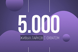 5000 лайков в Instagram. С охватом