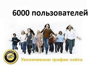 Поисковый трафик на ваш ресурс 6000 уникальных посетителей