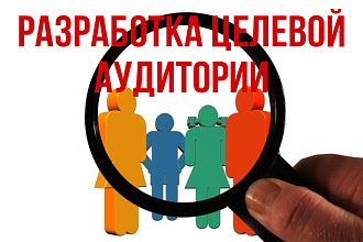 Разработка целевой аудитории