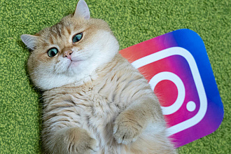 Создание Instagram для бизнеса под ключ