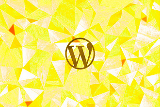 Создание интернет-магазина на WordPress