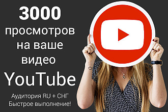 3000 просмотров видео YouTube. Аудитория RU и СНГ с удержанием