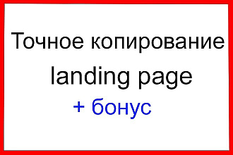 Точное копирование landing page + бонус