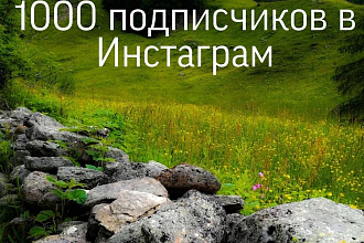 1000 русскоязычных Инстаграм подписчиков
