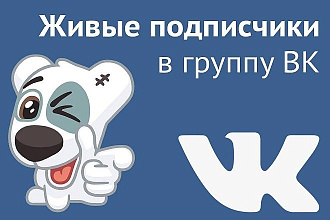 500 живых участников в группу ВК, без ботов