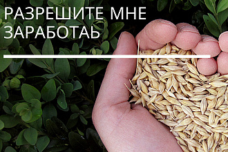 Займусь рассылкой