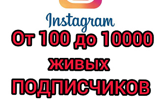 Подписчики в Инстаграм
