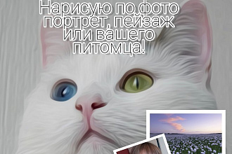 Нарисую по фото портрет, пейзаж или вашего питомца