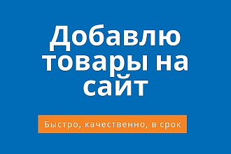 Заполню 60 карточек товара качественно