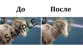 Удаление водяных знаков