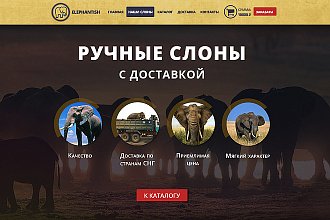 Сделаю дизайн сайта