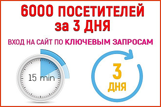 Поисковый трафик 6000 посетителей по ключевым запросам за 3 дня