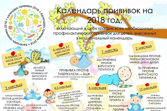 Создам инфографику, объявление или плакат