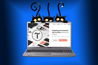 Настройка и базовая seo оптимизация сайта на Тильде Tilda