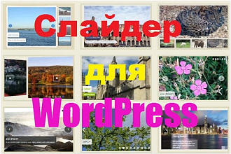 Слайдер для WordPress