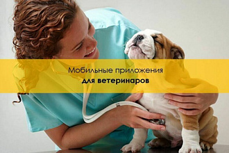 Мобильное приложение для ветеринаров - iOS и Android + возможно PWA