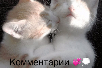 Комментарии на сайтах, форумах и других площадках 10 шт