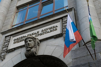 Вечная ссылка с государственного сайта ФСПП РФ