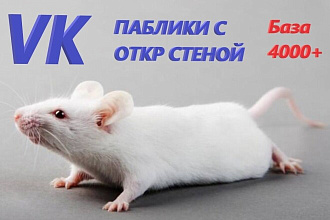 База ВКонтакте 2019 г. Группы с открытой стеной