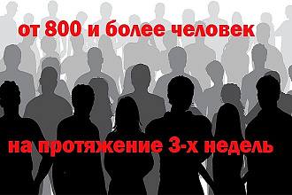 От 800 и более посетителей на сайт. В течении 3х недель