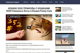 Сделаю автонаполняемый сайт на Wordpress с YouTube канала
