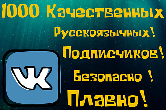 1000 подписчиков в вк