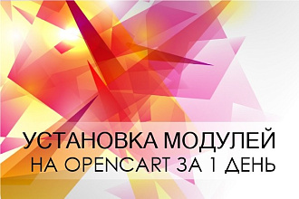 Установка модулей на Opencart за 1 день