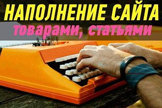 Наполнение сайта товаром, контентом