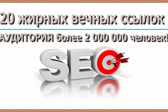 20 жирных вечных ссылок. Аудитория более 2-х миллионов человек