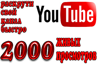 2000 живых просмотров видео с удержанием на вашем Youtube канале