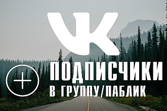 500 живых подписчиков на паблик Вконтакте + лайки на ваши посты