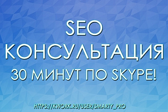SEO консультация по Skype понятным языком от профессионала 30 минут