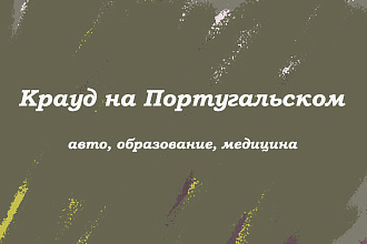 Крауд на Португальском под авто, образование, медицина
